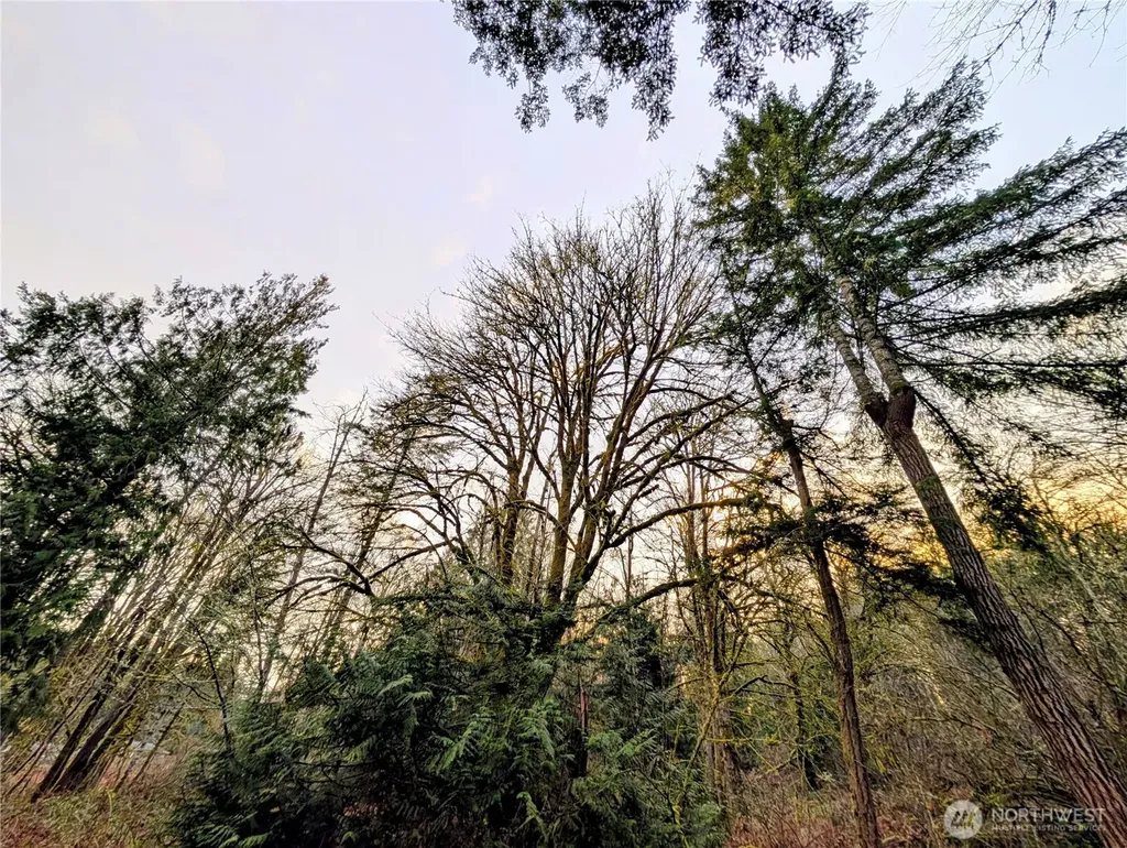 0 Whiteman Road SW Lakebay WA 98349