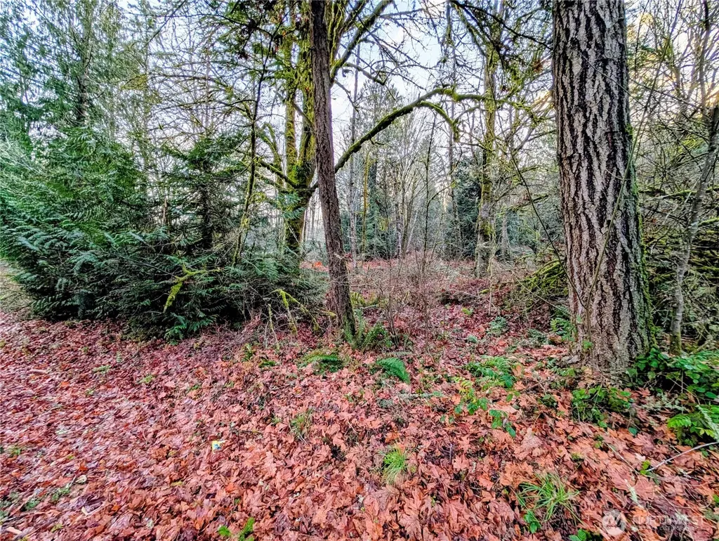0 Whiteman Road SW Lakebay WA 98349