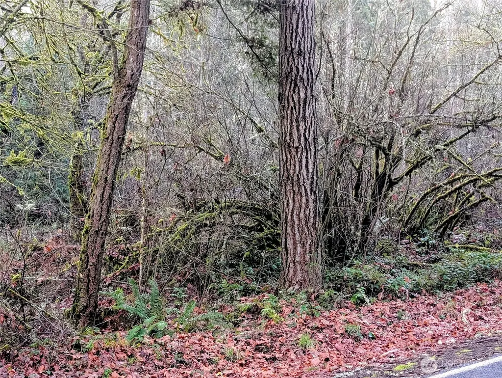0 Whiteman Road SW Lakebay WA 98349