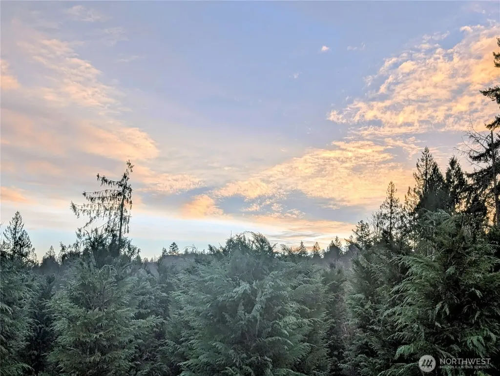 0 Whiteman Road SW Lakebay WA 98349
