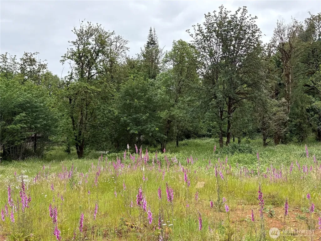 155 Benson Lane Castle Rock WA 98611