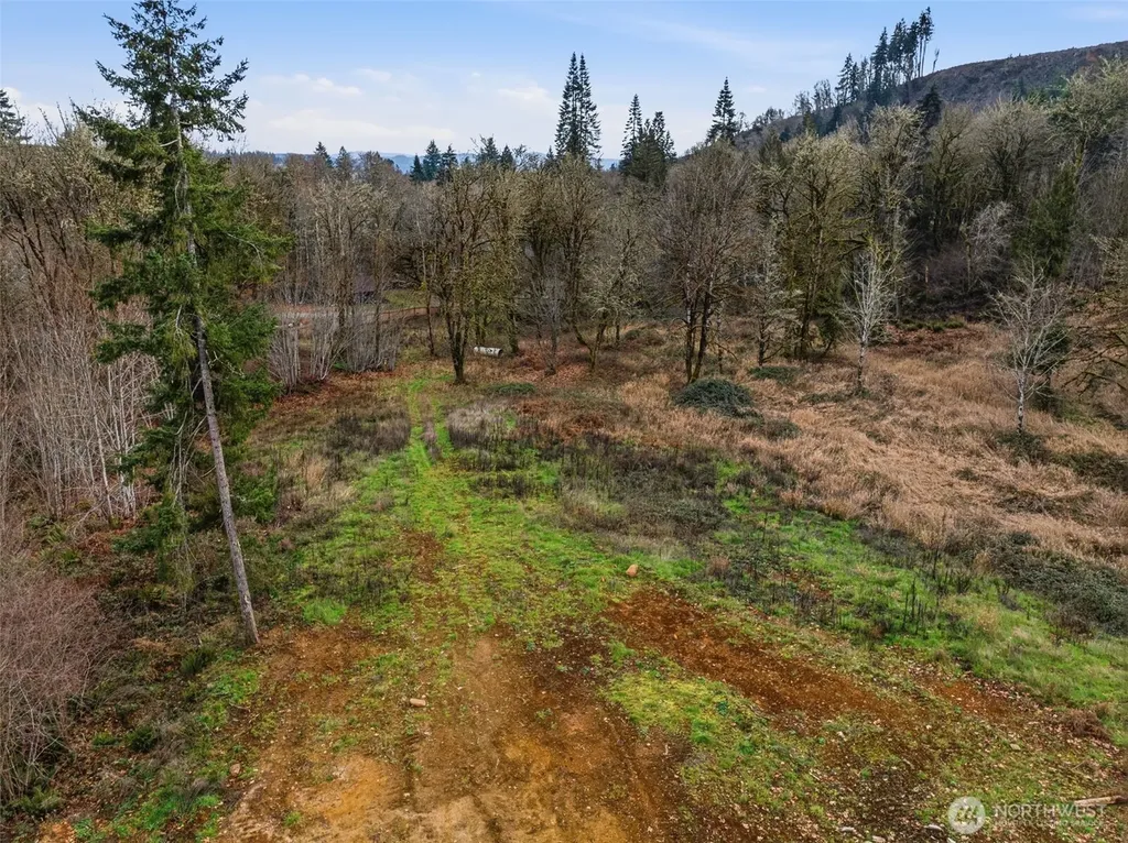 155 Benson Lane Castle Rock WA 98611