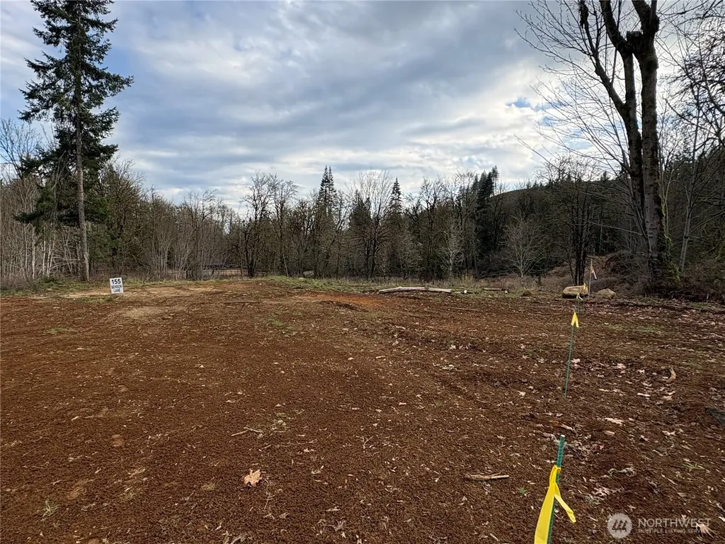 155 Benson Lane Castle Rock WA 98611
