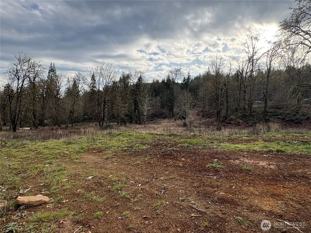 155 Benson Lane Castle Rock WA 98611