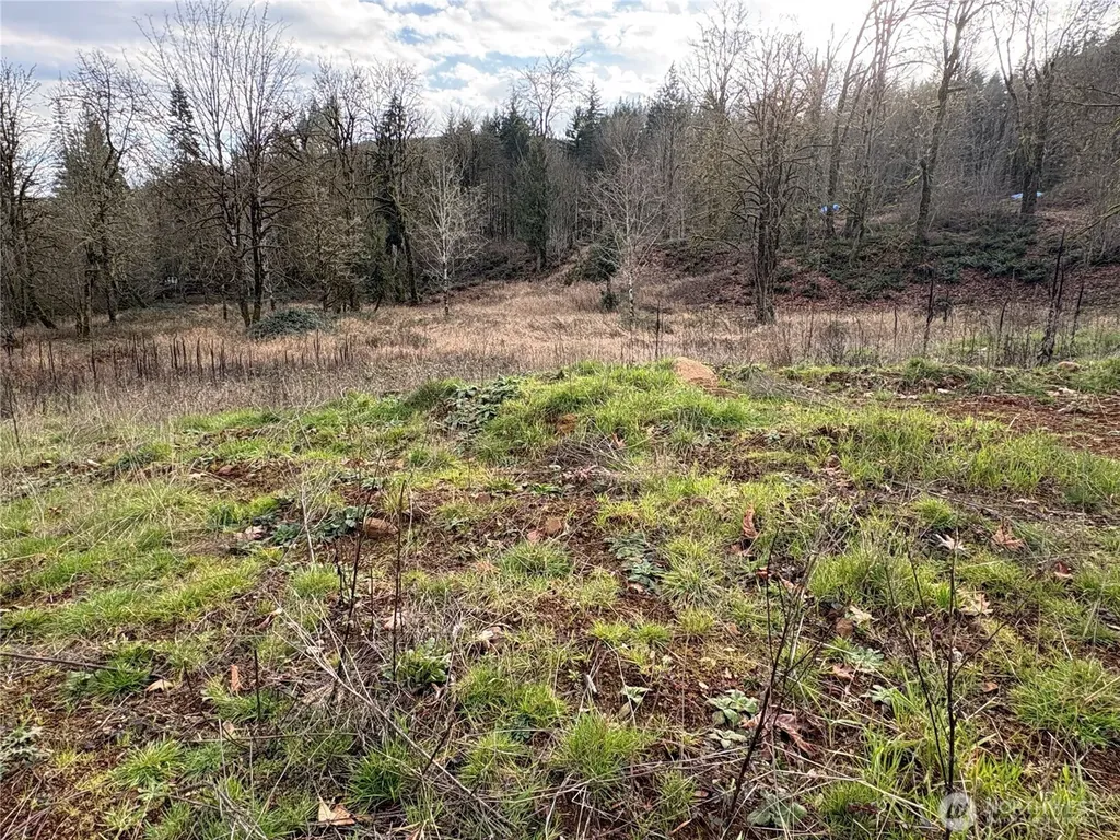 155 Benson Lane Castle Rock WA 98611