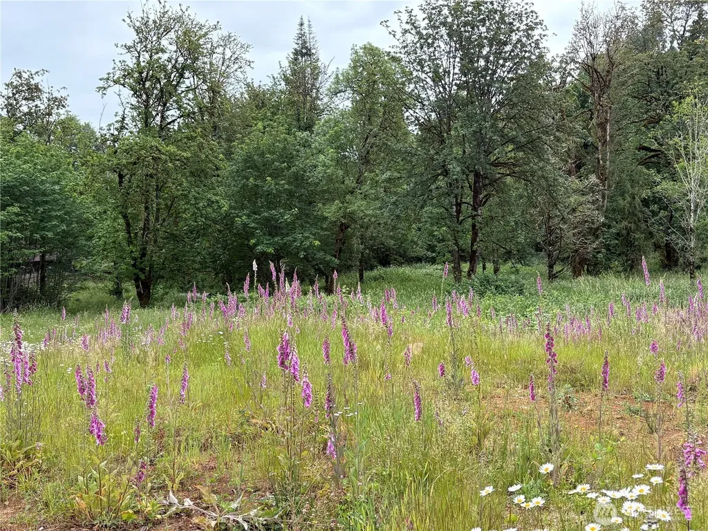 155 Benson Lane Castle Rock WA 98611