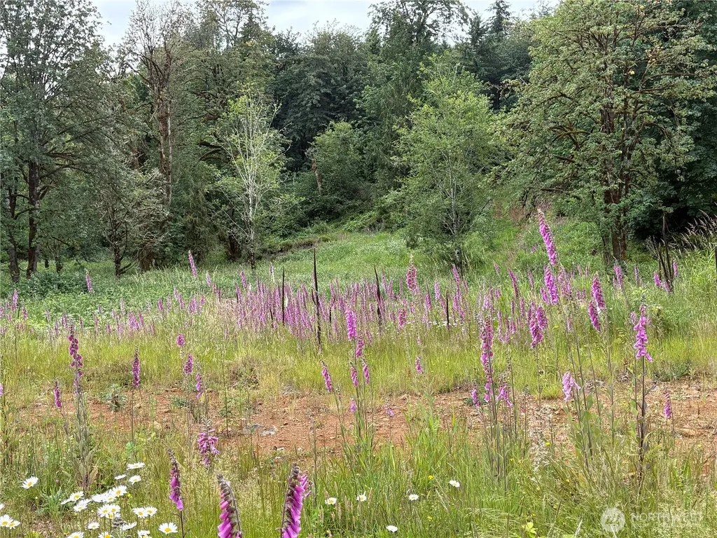 155 Benson Lane Castle Rock WA 98611