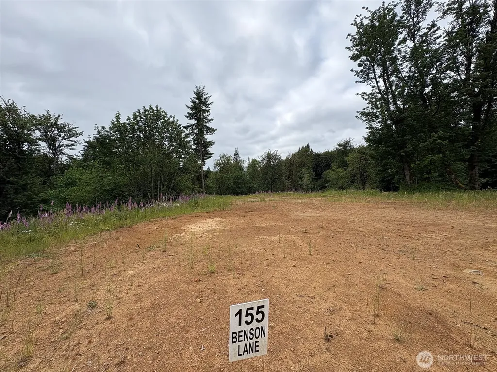 155 Benson Lane Castle Rock WA 98611