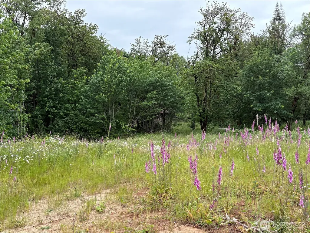 155 Benson Lane Castle Rock WA 98611
