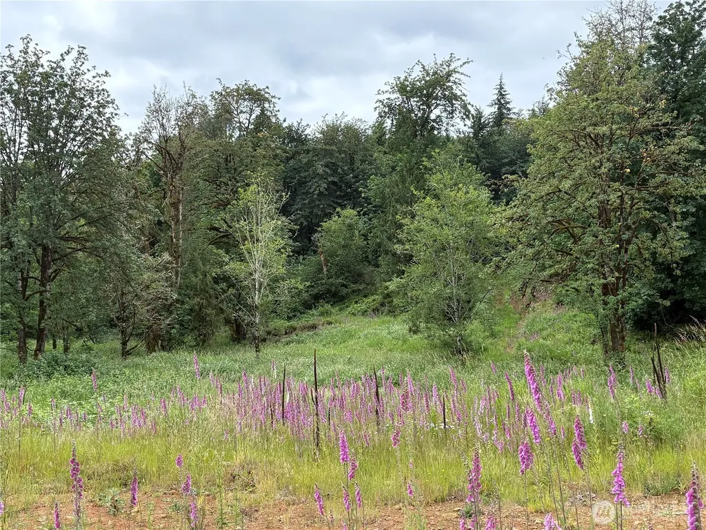 155 Benson Lane Castle Rock WA 98611