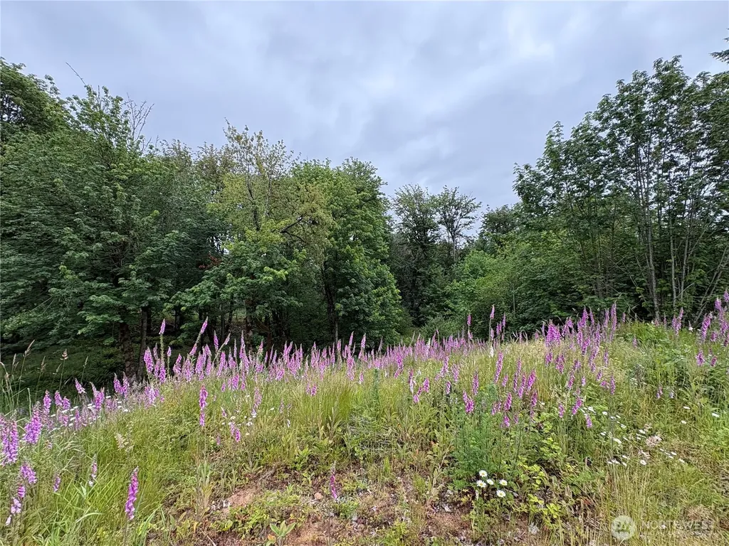 155 Benson Lane Castle Rock WA 98611