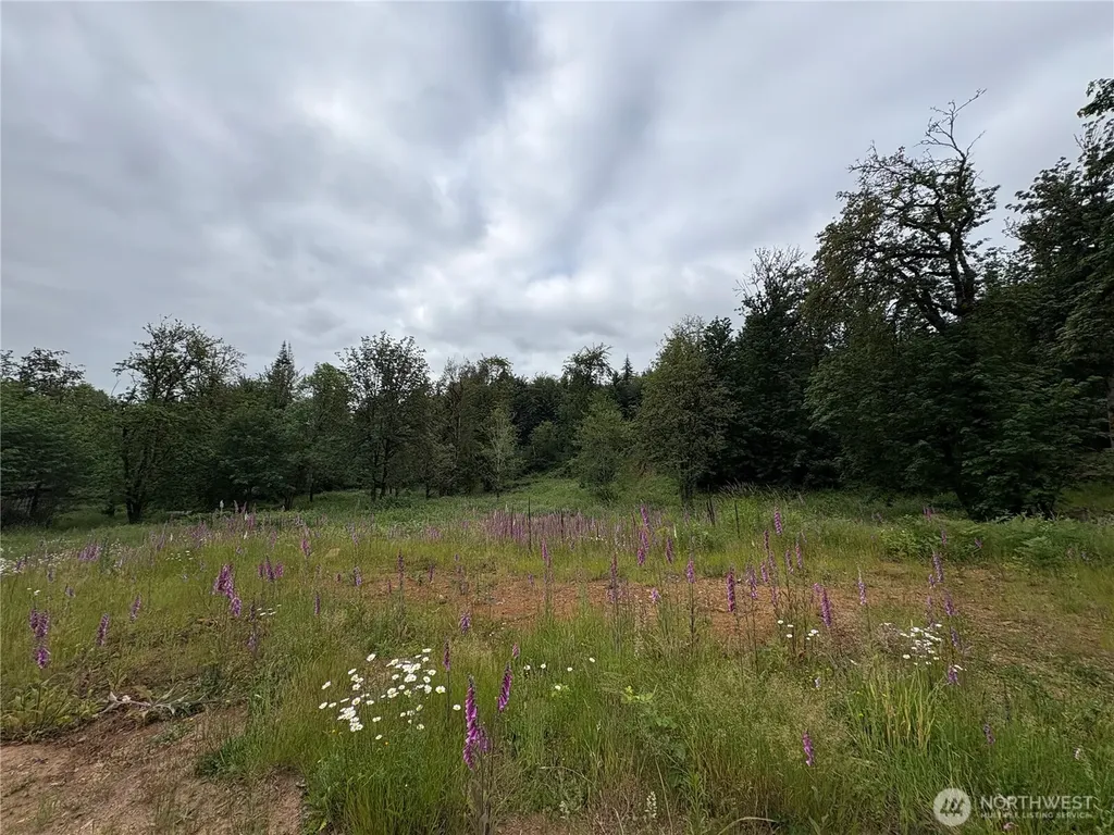 155 Benson Lane Castle Rock WA 98611
