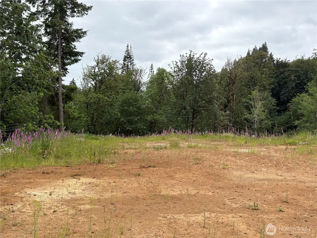 155 Benson Lane Castle Rock WA 98611