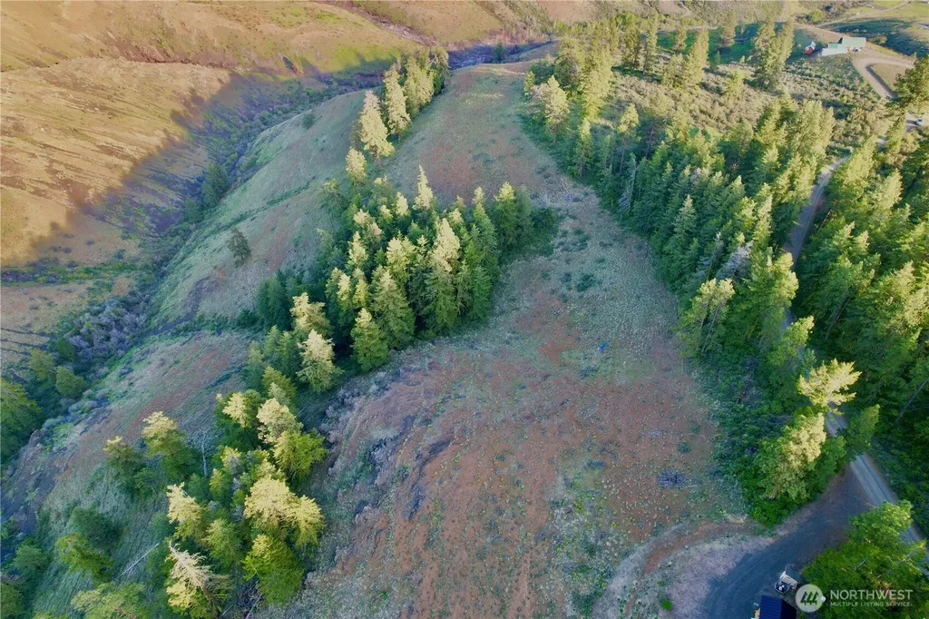 2911 W Sun East Road Ellensburg WA 98926
