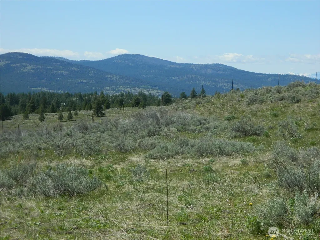 0 Tbd High Country Drive W Tonasket WA 98855