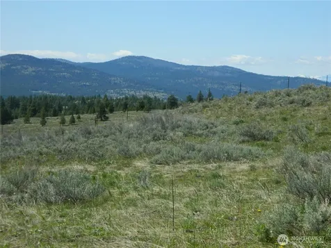 0 Tbd High Country Drive W Tonasket WA 98855