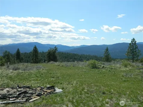 0 Tbd High Country Drive W Tonasket WA 98855