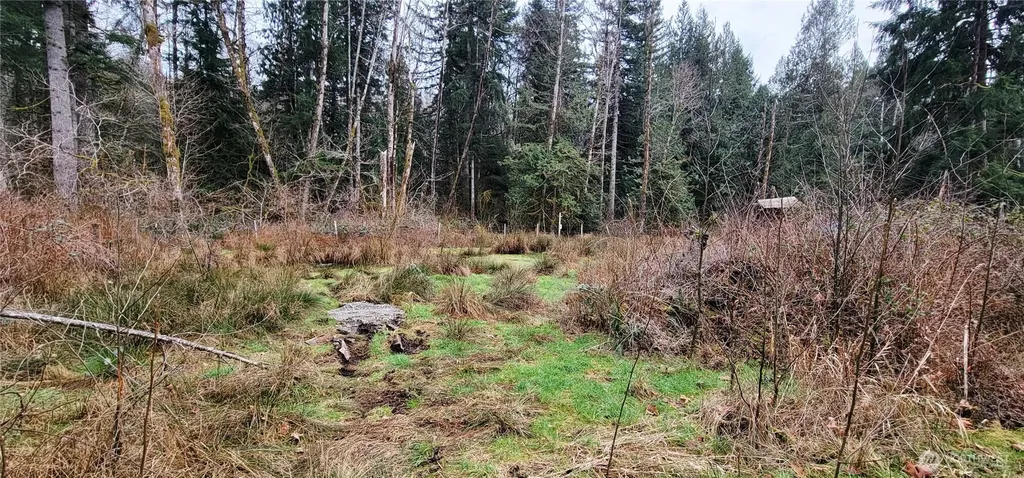 7836 Delphi Road SW Olympia WA 98512