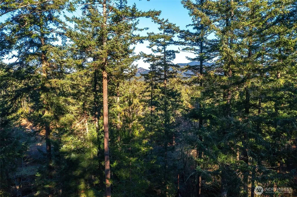 87 Levon Lane Orcas Island WA 98243