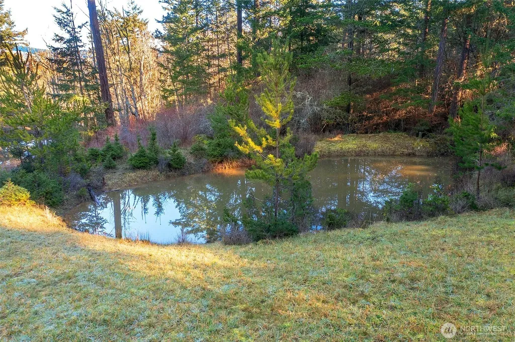87 Levon Lane Orcas Island WA 98243