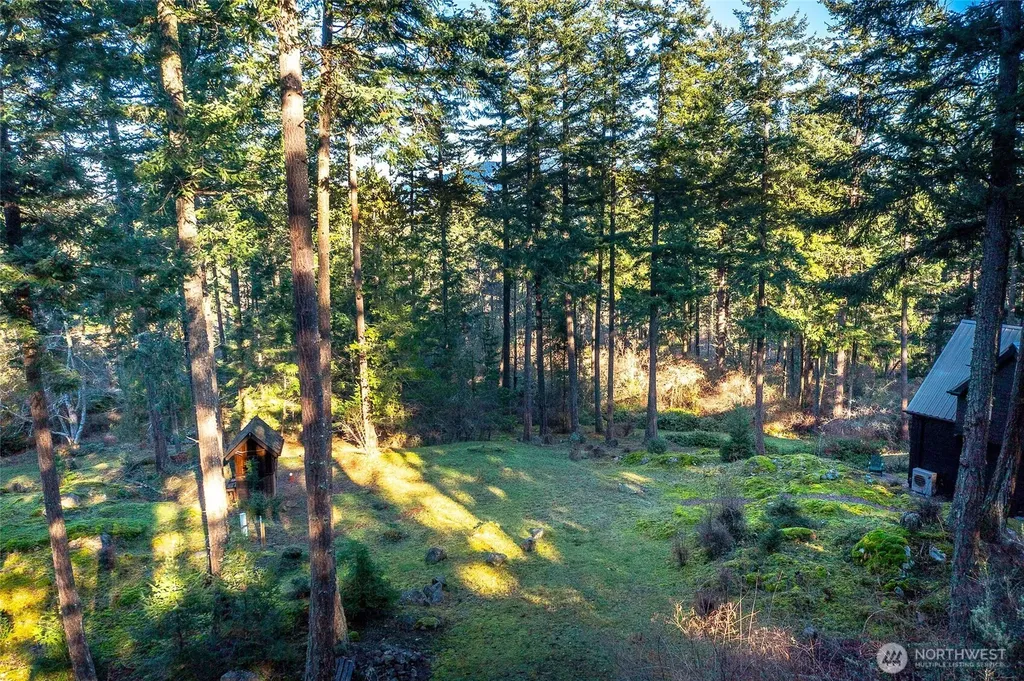 87 Levon Lane Orcas Island WA 98243