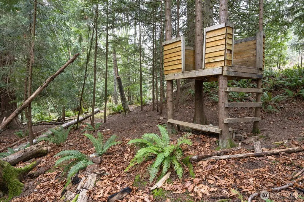 1020 Piedmont Place Bellingham WA 98229