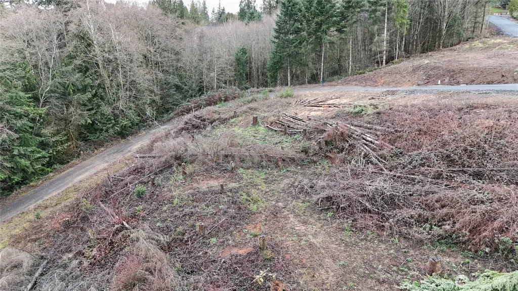 275 Livingston Heights Drive Longview WA 98632