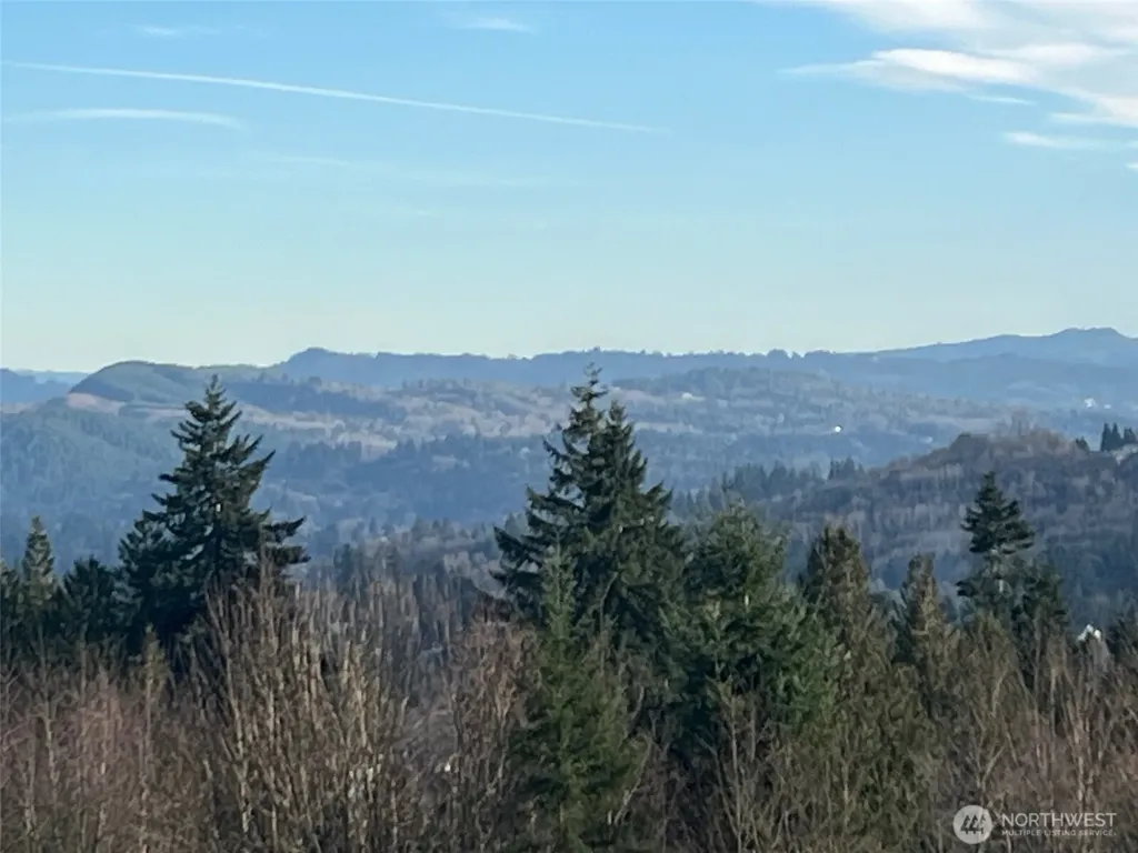 275 Livingston Heights Drive Longview WA 98632