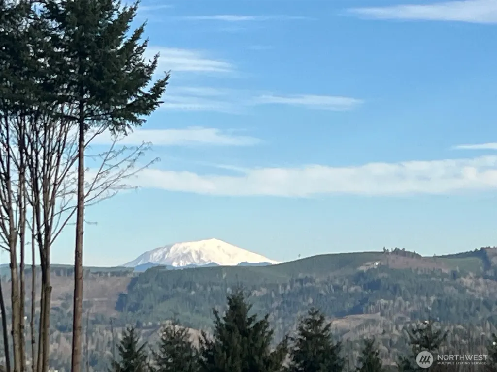 275 Livingston Heights Drive Longview WA 98632