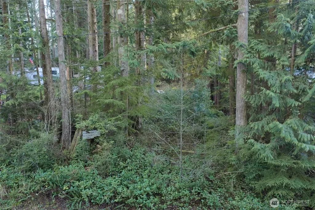 40 Robin Lane Pacific Beach WA 98571