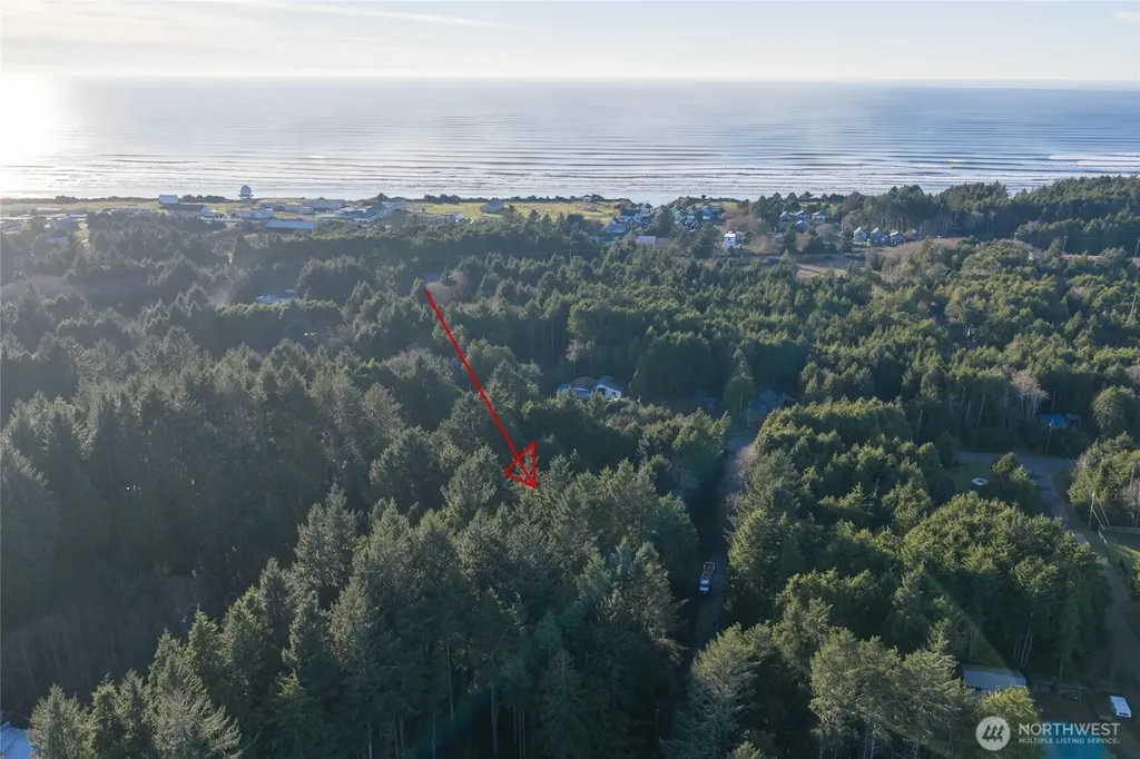 40 Robin Lane Pacific Beach WA 98571
