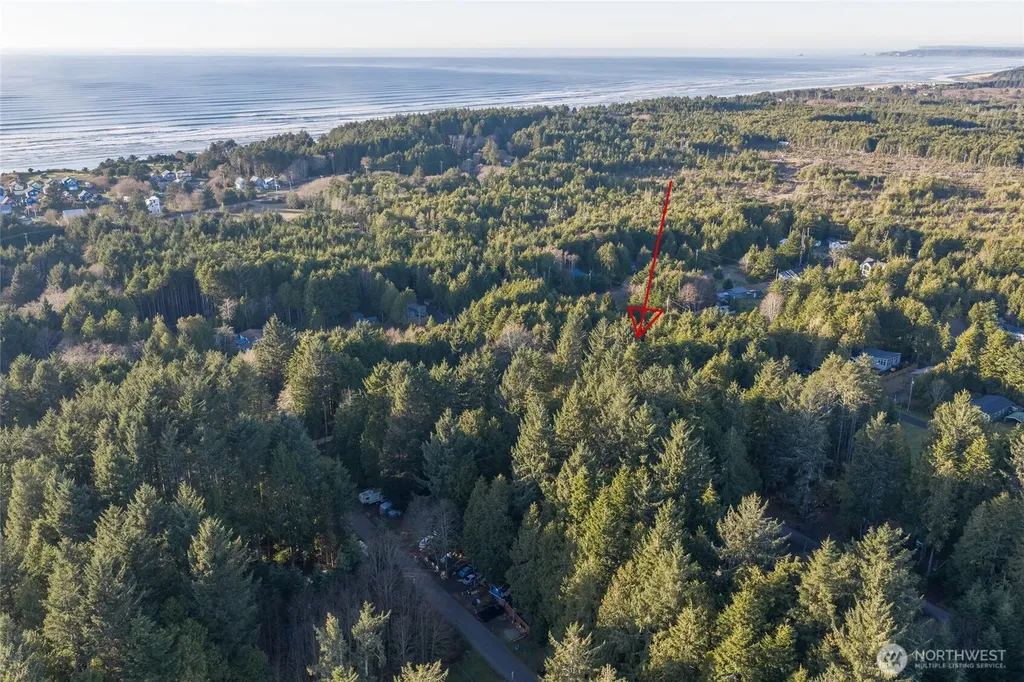 40 Robin Lane Pacific Beach WA 98571