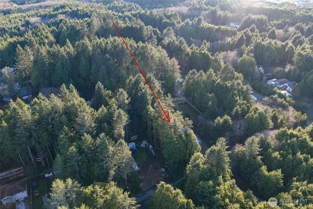 40 Robin Lane Pacific Beach WA 98571