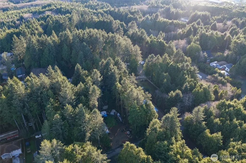 40 Robin Lane Pacific Beach WA 98571