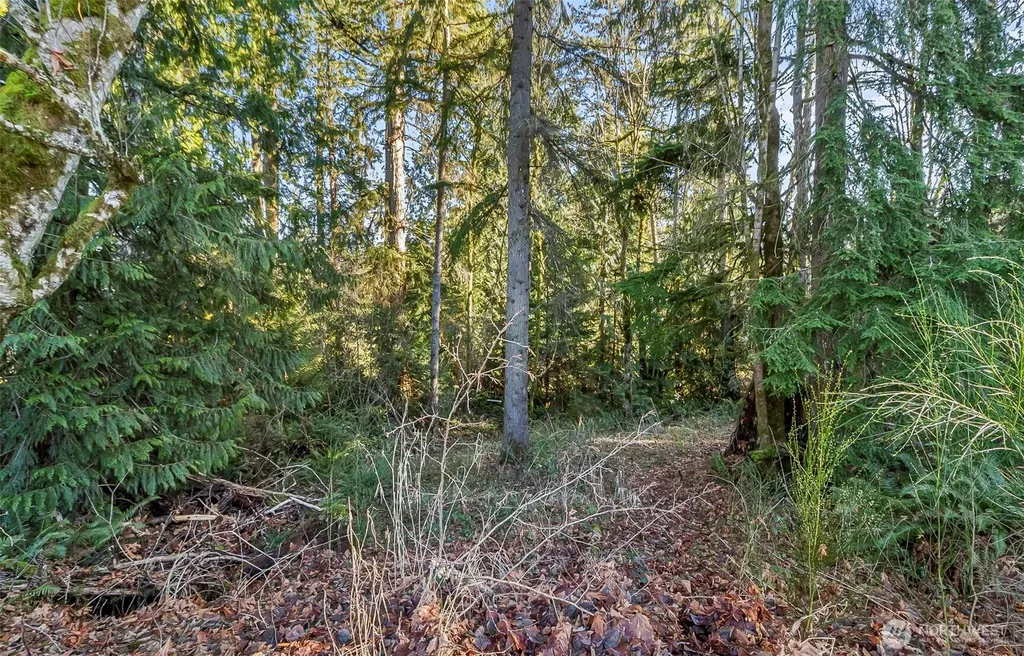 0 1-213th Avenue SE Snohomish WA 98290