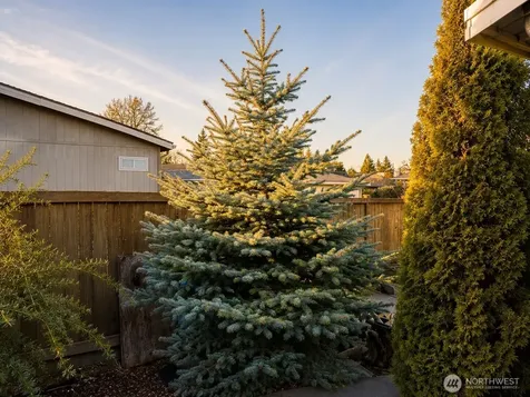 11436 SE 208th Street Kent WA 98031