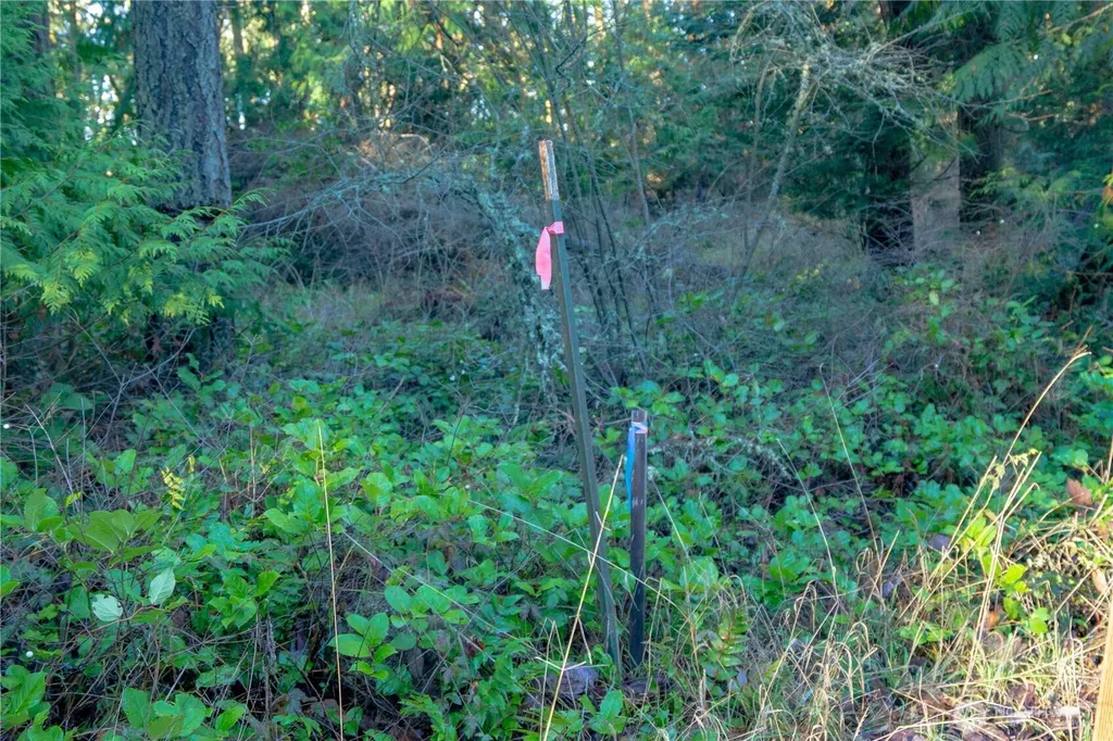 995 Kirner Road Sequim WA 98382
