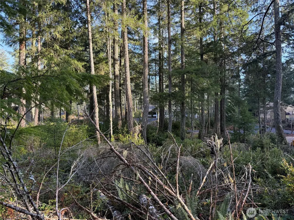 40 E Paint Brush Lane Union WA 98592