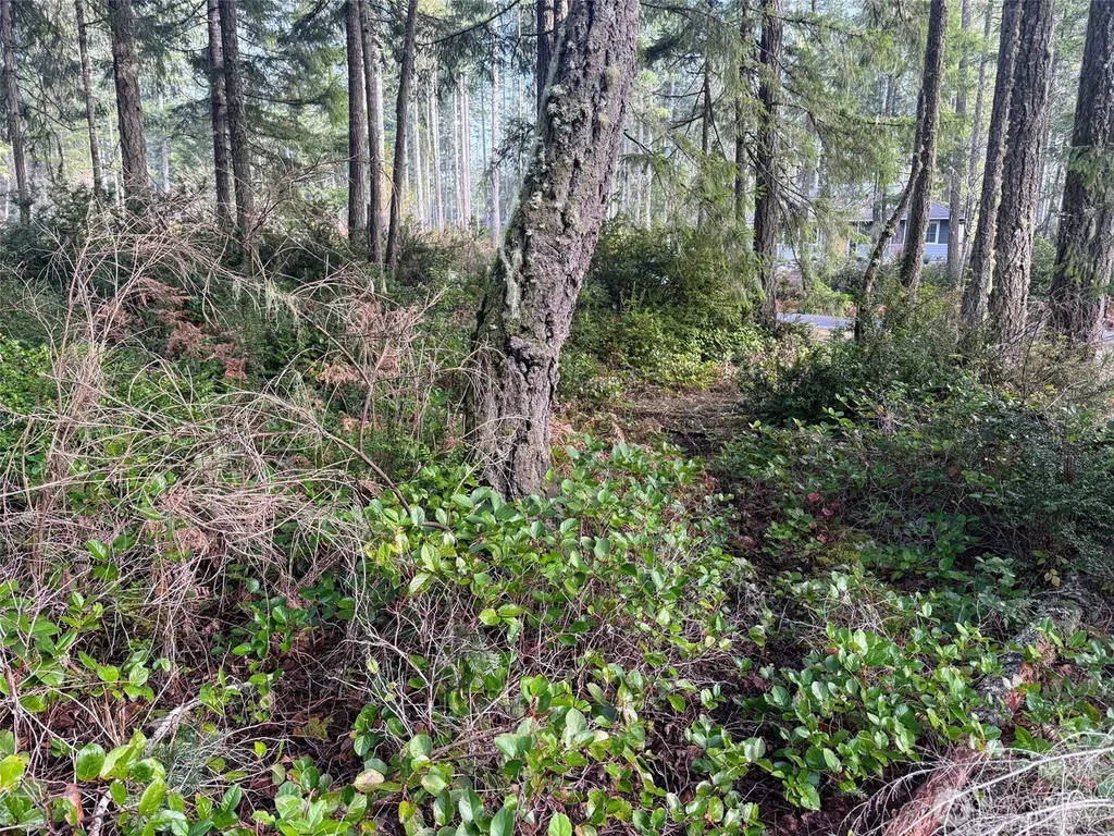 40 E Paint Brush Lane Union WA 98592