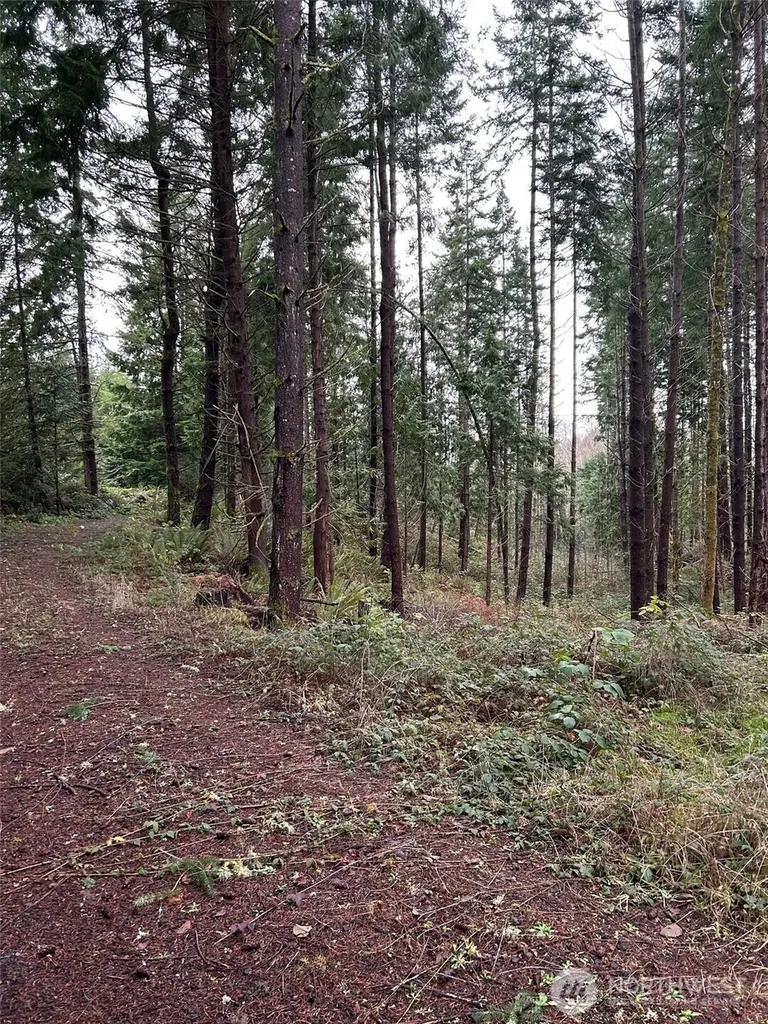 0 NE Sawdust Hill Road Poulsbo WA 98370
