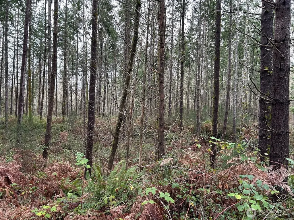 0 NE Sawdust Hill Road Poulsbo WA 98370