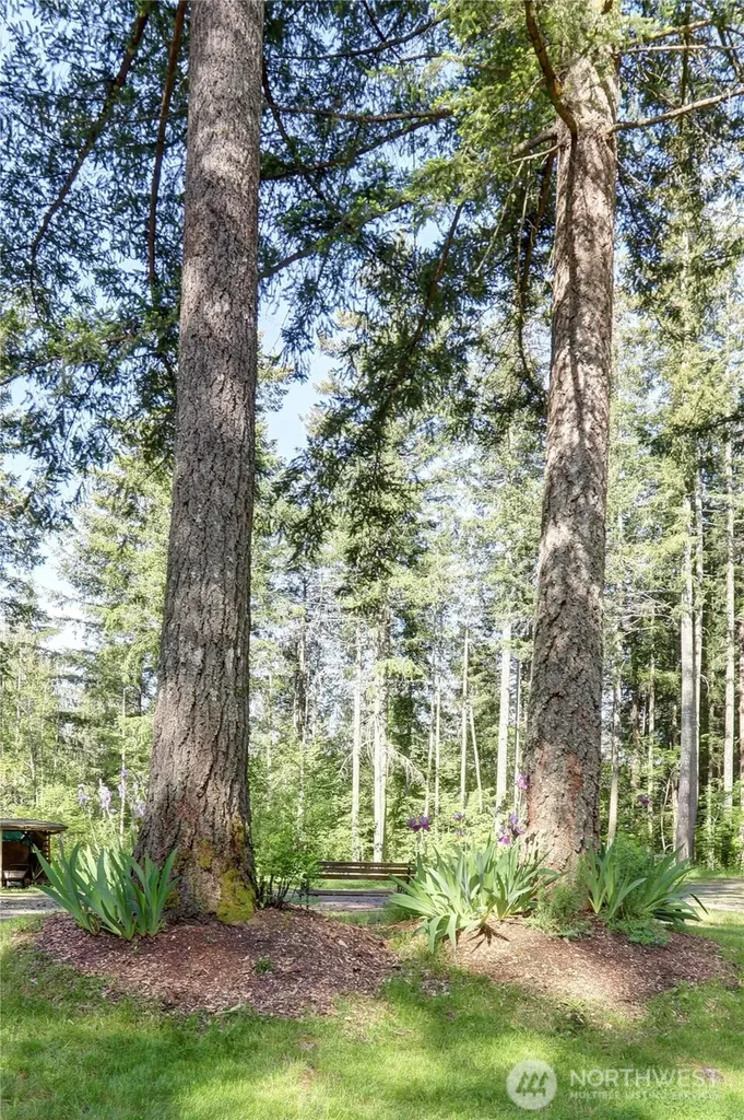 27405 304 Avenue SE Ravensdale WA 98051