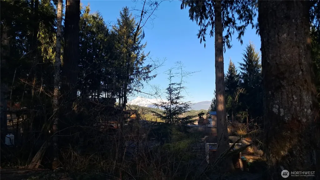 44951 Blacktail Loop Concrete WA 98237