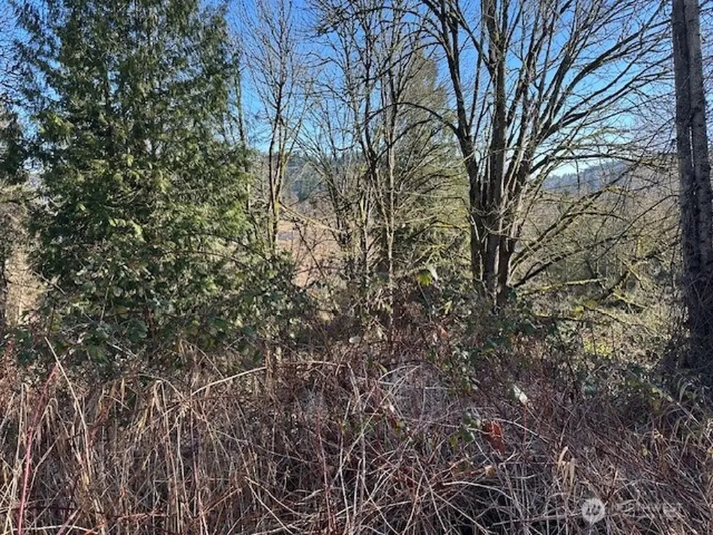 57 188th Avenue NE Redmond WA 98053