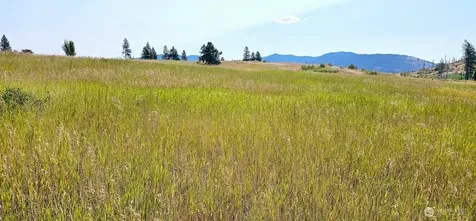 1041 Ward Way Colville WA 99114