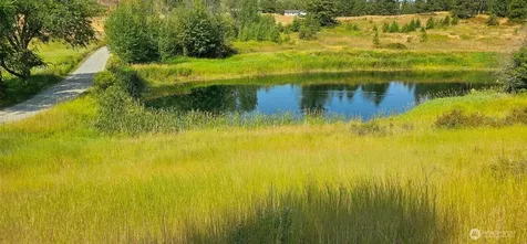 1041 Ward Way Colville WA 99114