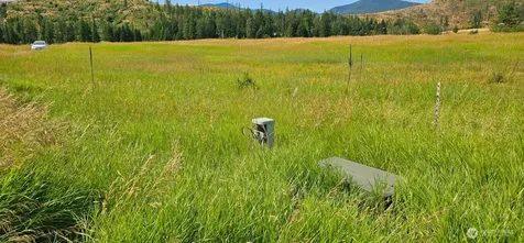 1041 Ward Way Colville WA 99114
