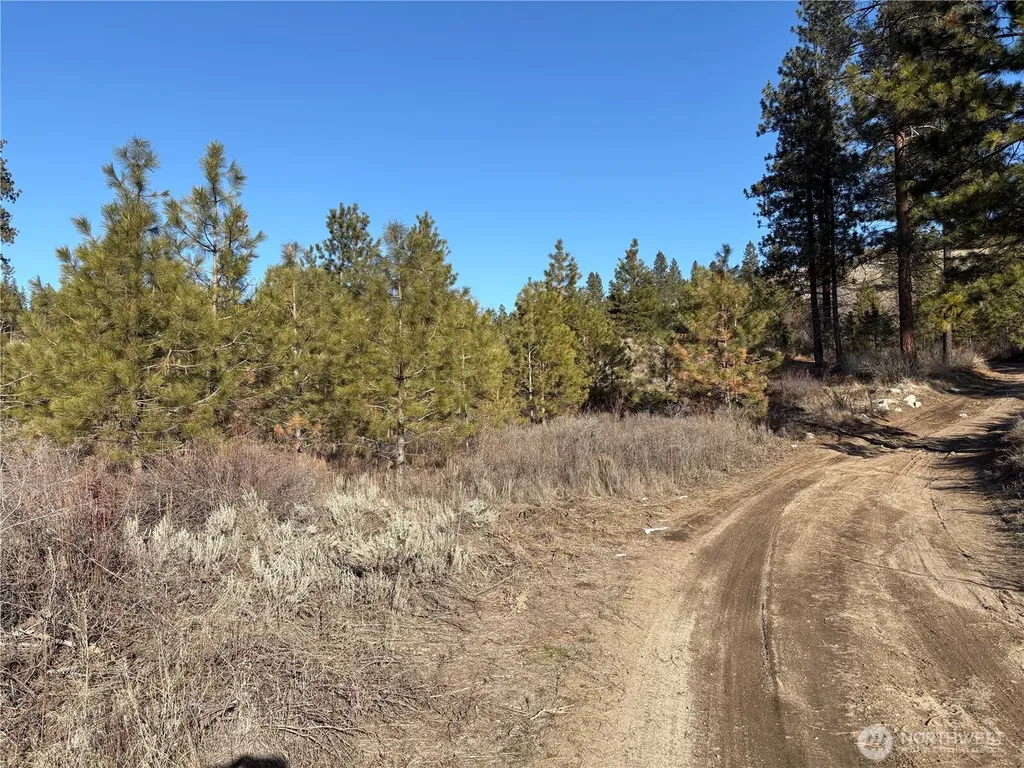 1 Tbd Valley View Drive Oroville WA 98844