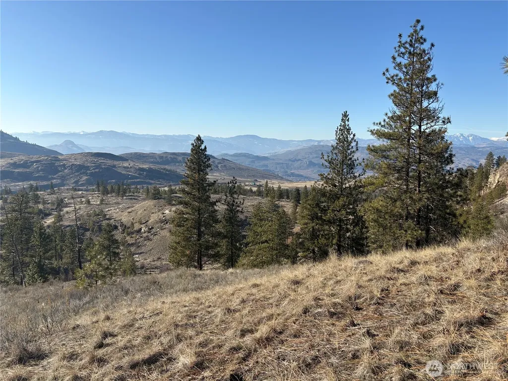 1 Tbd Valley View Drive Oroville WA 98844