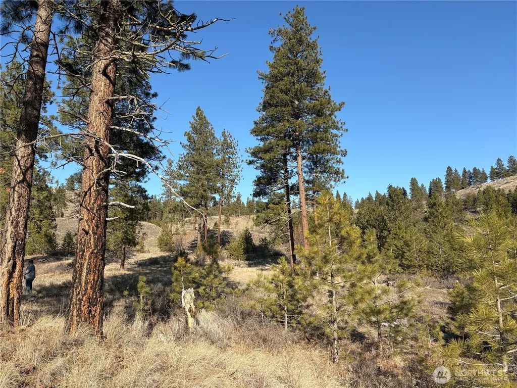 1 Tbd Valley View Drive Oroville WA 98844